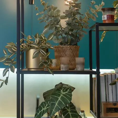 City Center Turquoise By Renters Apartment